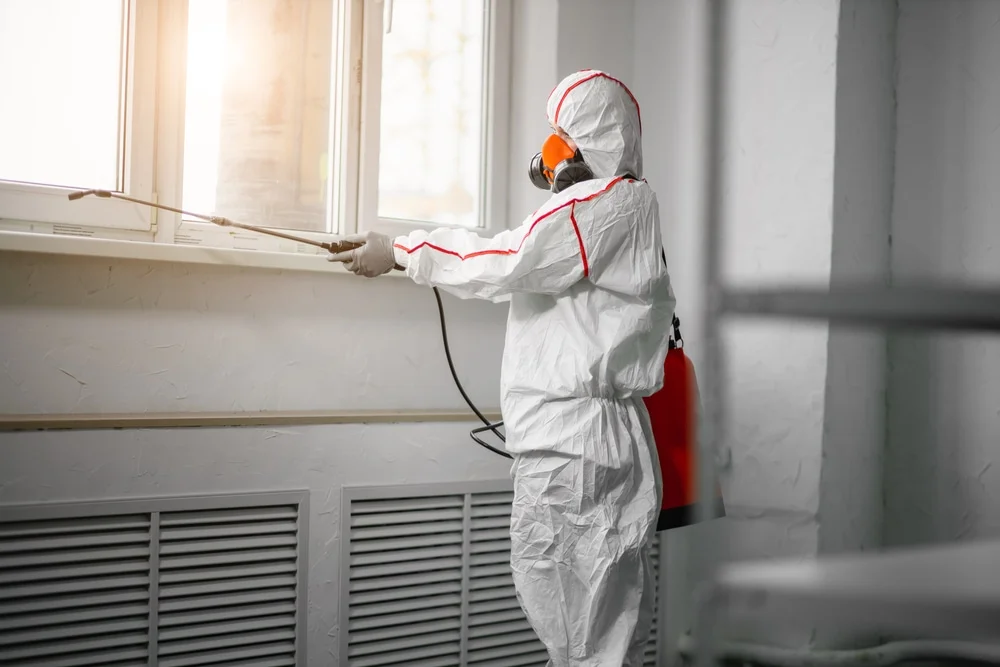 Professional mold remediation services in Inglis, FL
